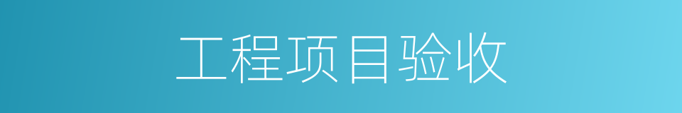 工程项目验收的同义词