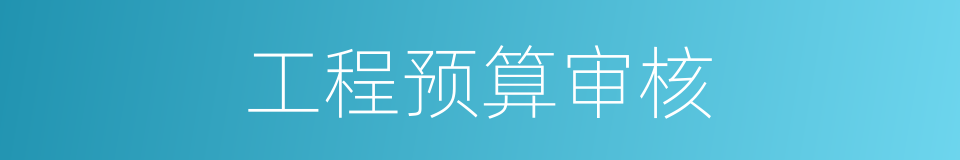 工程预算审核的同义词