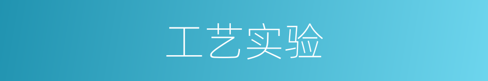 工艺实验的同义词