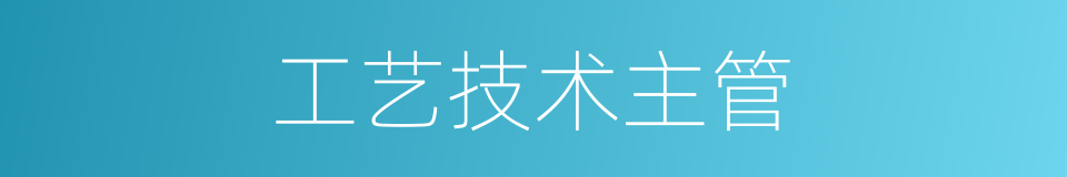 工艺技术主管的同义词