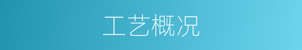 工艺概况的同义词