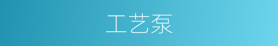 工艺泵的同义词