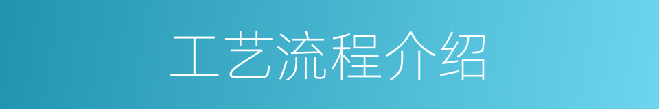 工艺流程介绍的同义词