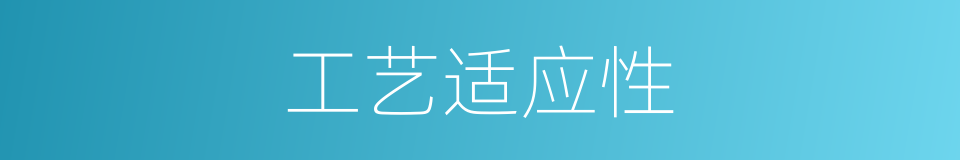 工艺适应性的同义词