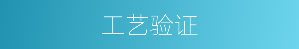 工艺验证的同义词