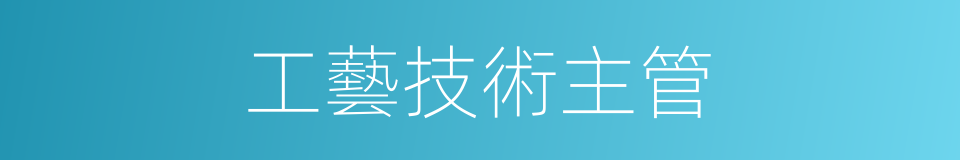 工藝技術主管的同義詞