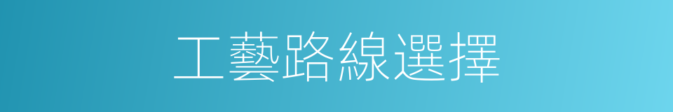 工藝路線選擇的同義詞