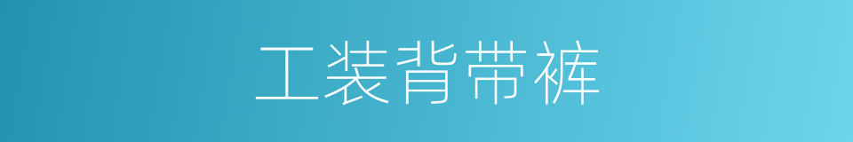 工装背带裤的同义词
