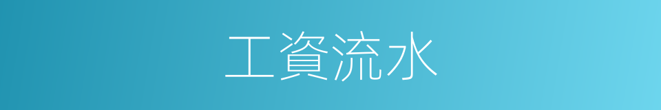 工資流水的同義詞