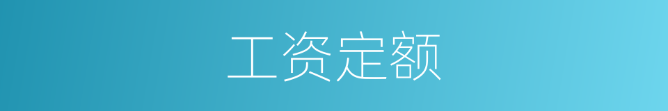 工资定额的同义词