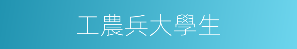 工農兵大學生的同義詞