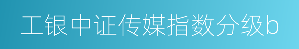 工银中证传媒指数分级b的同义词