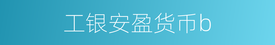 工银安盈货币b的同义词