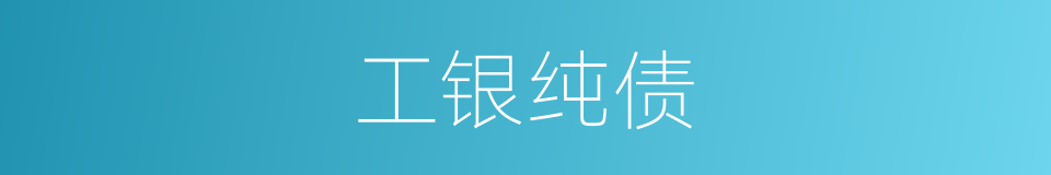 工银纯债的同义词