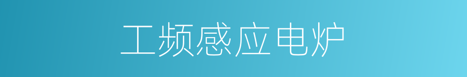 工频感应电炉的同义词