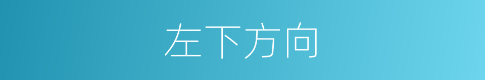 左下方向的同义词