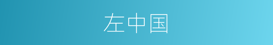 左中国的同义词