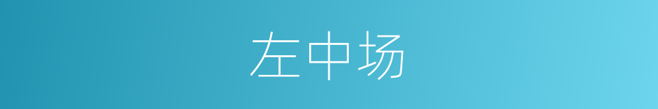 左中场的同义词