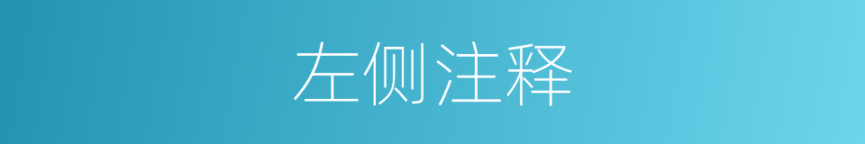 左侧注释的意思