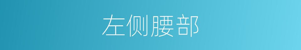 左侧腰部的同义词
