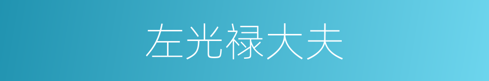 左光禄大夫的同义词