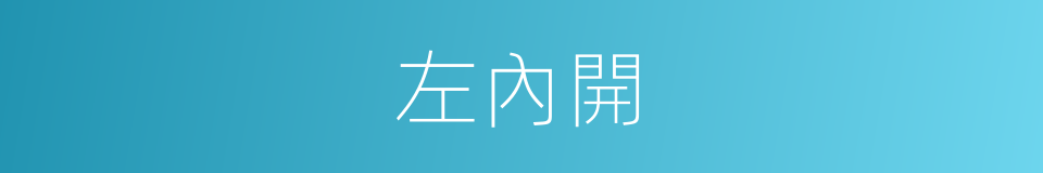 左內開的同義詞