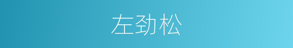 左劲松的同义词