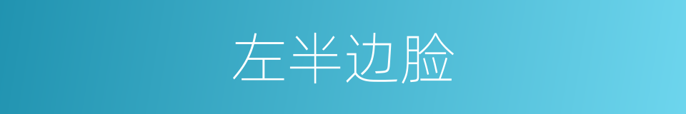 左半边脸的同义词