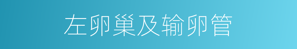 左卵巢及输卵管的同义词