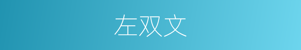 左双文的同义词