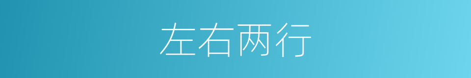 左右两行的同义词