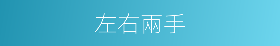 左右兩手的同義詞