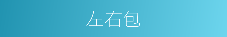 左右包的同义词