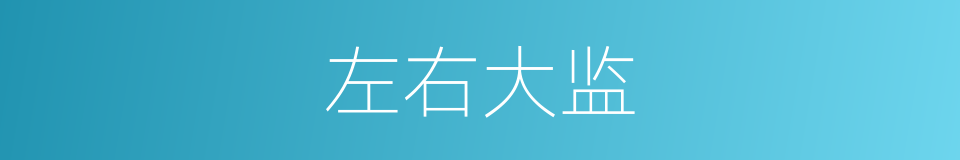 左右大监的同义词