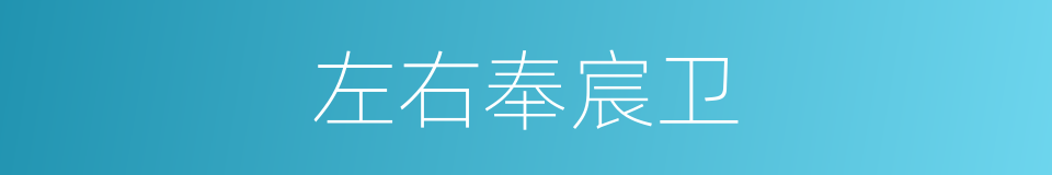 左右奉宸卫的同义词