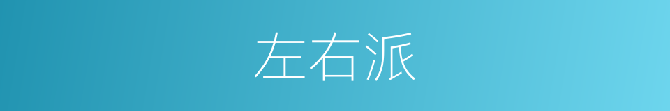 左右派的同义词