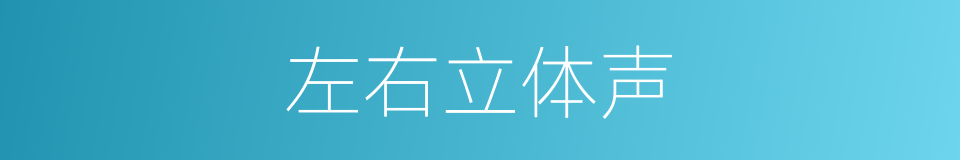 左右立体声的同义词