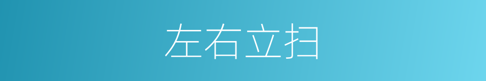 左右立扫的同义词