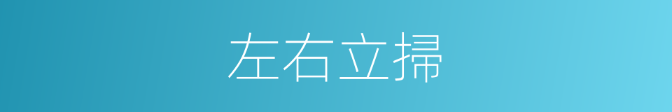 左右立掃的同義詞