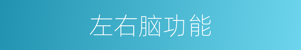 左右脑功能的同义词