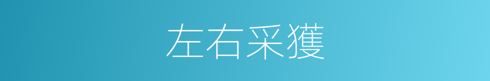 左右采獲的同義詞