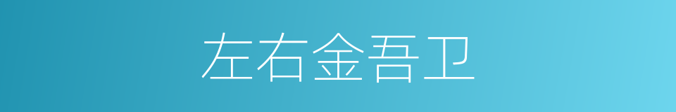 左右金吾卫的同义词