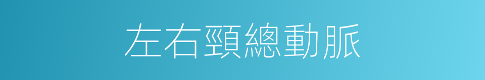 左右頸總動脈的同義詞
