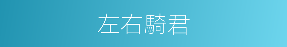 左右騎君的同義詞