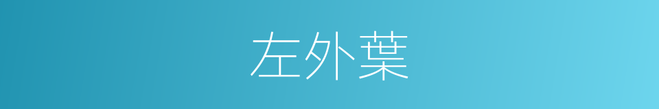 左外葉的同義詞