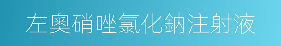 左奧硝唑氯化鈉注射液的同義詞