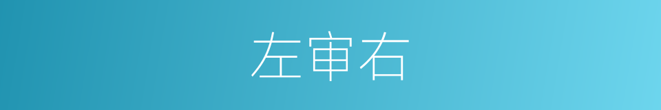 左审右的同义词