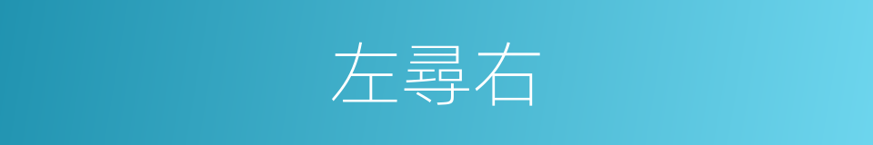 左尋右的同義詞