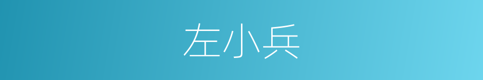 左小兵的同义词