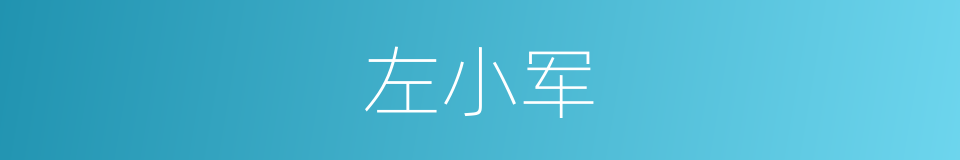 左小军的同义词